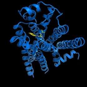 Scientists unveil structure of molecular target of many drugs