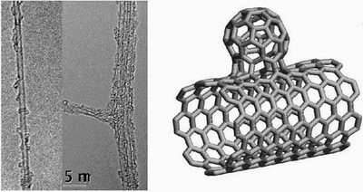 New Nanomaterial, 'NanoBuds,' Combines Fullerenes and Nanotubes