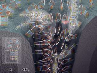 Researchers use 'nanopore channels' to precisely detect DNA
