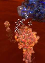 Chemical probes beat antibodies at own game