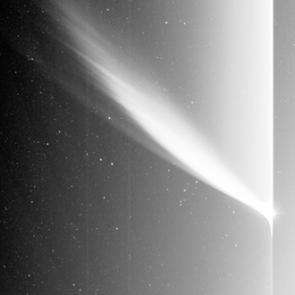 Comet McNaught - A First Light Present for STEREO