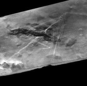 CT scan reveals ancient long-necked gliding reptile