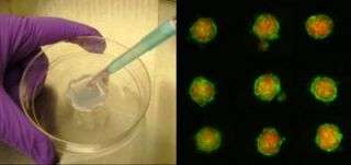 Culturing Cells in 3-D