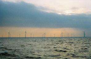 Denmark's Nysted Offshore Wind Farm