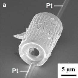 Diatom Sensor