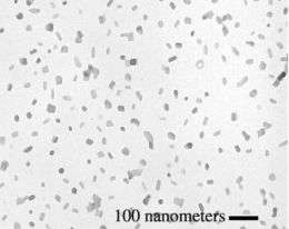 DNA Nanoparticles
