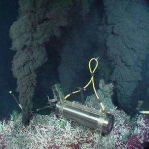 'Good vibrations' from deep-sea smokers may keep fish out of hot water