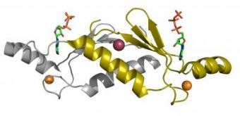 Making a Better ATP Binding Protein