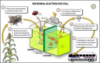 Microbial Electrolysis Cell