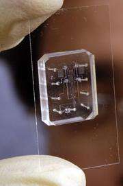 Microfluidic Chip
