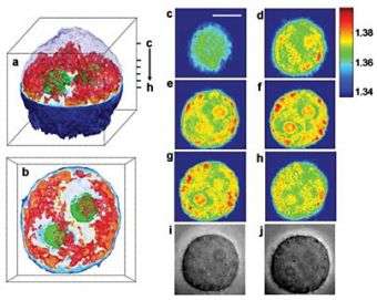 MIT creates 3-D images of living cell