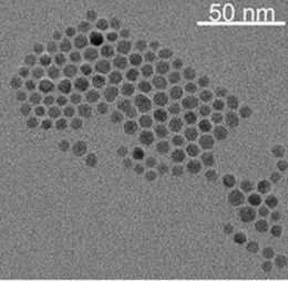 IMEC reports robust technology to functionalize nanoparticles for biomedical applications