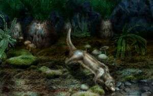 Paleontologists Discover New Mammal from Mesozoic Era
