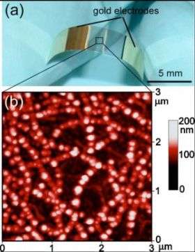 Palladium Nanoparticle Electrodeposition on Nanotubes Results in New Flexible Hydrogen Sensors