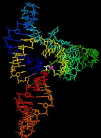 RNA enzyme structure offers a glimpse into the origins of life