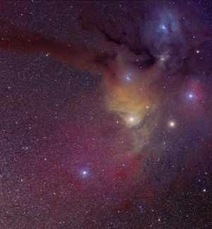 Large Survey Identifies Young Binaries To Test Models Of Star Formation