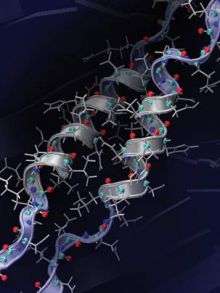Speed plays crucial role in breaking protein's H-bonds