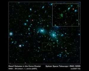 Spitzer nets thousands of galaxies in a giant cluster