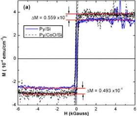 Studying Magnetic Interface Ferromagnetism