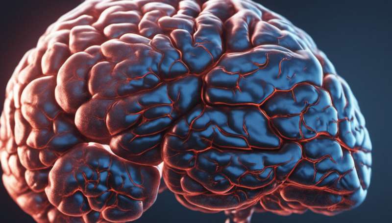 The brain can rapidly reorganise to recover from damage