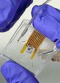 Thumb-size microsystem enables cell culture and incubation