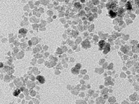 Widely used iron nanoparticles exhibit toxic effects on neuronal cells