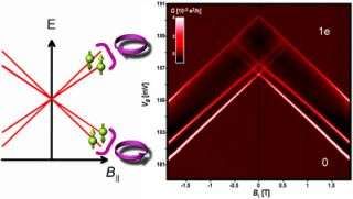 Electron spin and orbits in carbon nanotubes are coupled