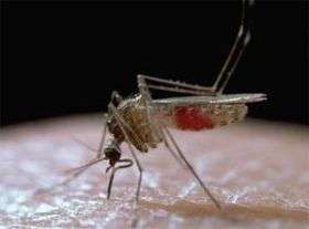 Groundbreaking Research Shows DEET Not Sweet to Mosquitoes