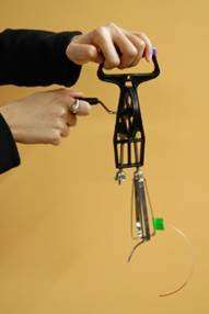 $2 egg-beater could save lives in developing countries