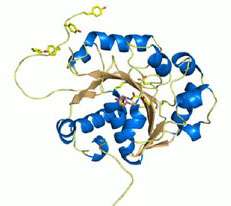 Protein discovery may bolster antibiotic development
