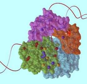 The structure of XPD sheds light on cancer and aging