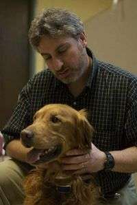 Researchers discover genetic cancer link between humans and dogs