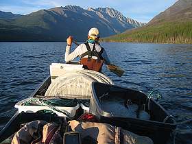 Researchers study spread of lake trout in Glacier National Park