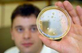 Breakthrough in the fight against deadly superbug