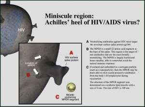 Scientists may have identified new target for HIV vaccine