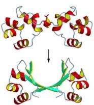 Researchers Tackling Unsolved Questions About Protein Structures