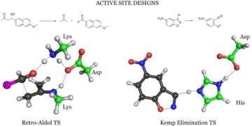 Active sites of new enzymes