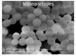 A new 'Pyrex' nanoparticle
