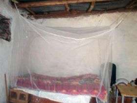 Bed Net