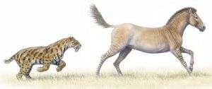 Big predatory mammals such as felines need between 5 and 7 different types of prey to meet their dietary needs
