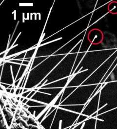 Chemists measure copper levels in zinc oxide nanowires
