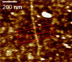Carbon Nanotubes as a Single-Photon Source