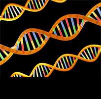 DNA clues to reproductive behaviour