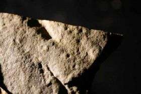 Earliest Animal Footprints Ever Found -- Discovered in Nevada
