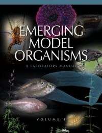 Emerging Model Organisms