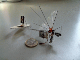 Dutch researchers take flight with three-gram 'dragonfly'