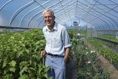 High tunnels yield healthier, prettier produce and longer growing seasons