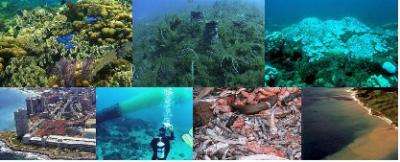 Humans have caused profound changes in Caribbean coral reefs