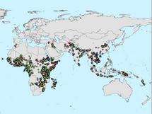 Malaria Atlas Project maps malaria occurrences world-wide