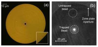 Microfabricated Fresnel Zone Plate Optical Tweezer